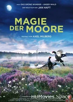 Магия болот (2015)