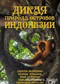 Дикая природа островов Индонезии (2016)
