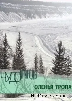 RT. Чудо природы (2011)