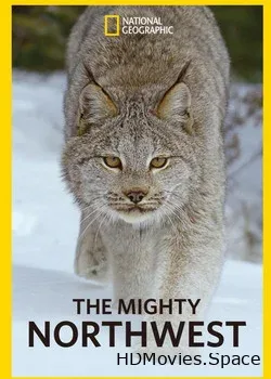 Nat Geo Wild: Прекрасная Америка: Величественный Северо-Запад (2017)