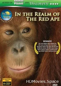 Дикая Азия (2001)