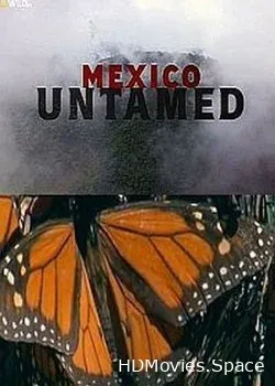Непокорная Мексика (2018)