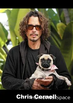 Chris Cornell (2017)