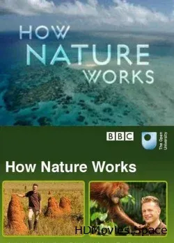 BBC. Как устроена природа (2012)