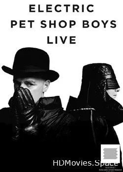 Pet Shop Boys (2013)