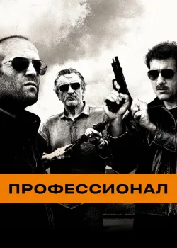 Профессионал 2011