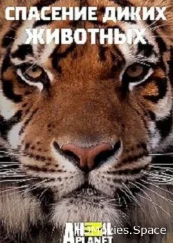 Спасение диких животных (2017)