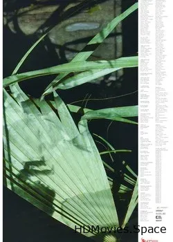 Расшифрованная кинопленка (2017)