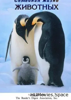 Семейная жизнь животных (1998)