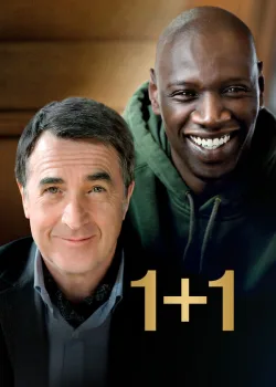 1+1 2011