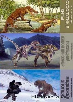 National Geographic. Пути эволюции  (2008)