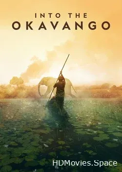 NGW: Вдоль по Окаванго (2018)