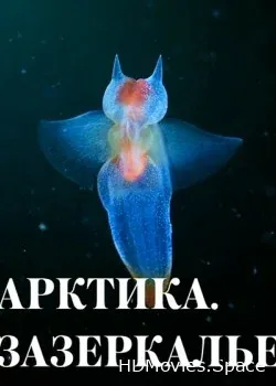 Арктика. Зазеркалье (2017)