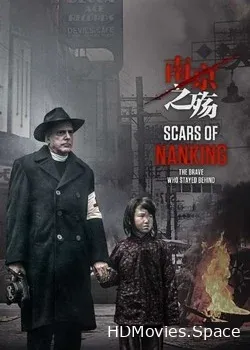 Шрамы Нанкина (2017)