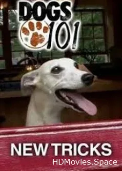 Собаковедение: Новые истории (2016)