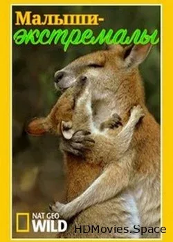 NG. Малыши-экстремалы (2016)