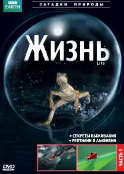 BBC: Жизнь 2009