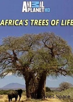 Древо жизни (2015)