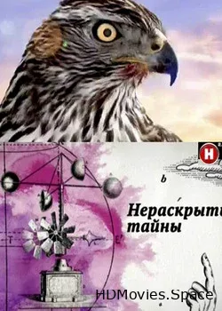 Нераскрытые тайны (2013)