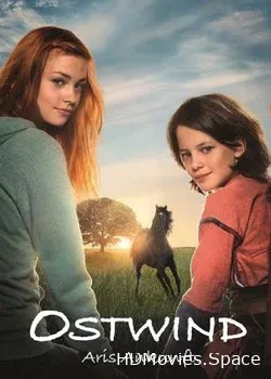Восточный ветер 4: Легенда о Воине (2019)
