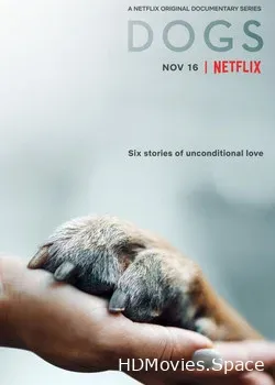 Собаки (2018)