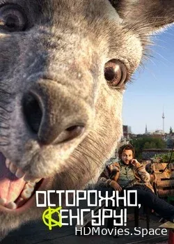 Осторожно, Кенгуру! 2020