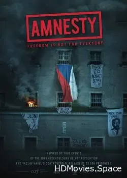 Амнистия (2019)