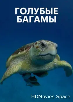 Голубые Багамы (2015)