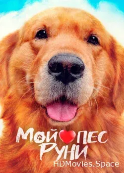 Мой пёс Руни (2023)