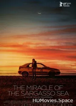 Чудо Саргассова моря (2019)