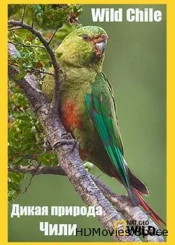 Nat Geo Wild: Дикая природа Чили (2017)