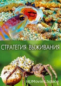 Стратегия выживания (2017)