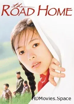 Дорога домой (1999)