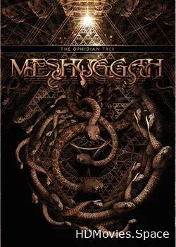 Meshuggah (2013)