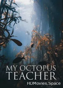 Мой учитель-осьминог (2020)