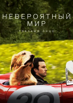 Невероятный мир глазами Энцо 2019