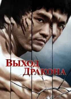 Выход Дракона 1973