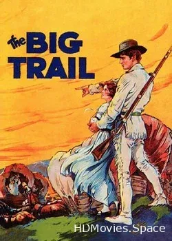 Большая слежка (1930)