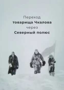 Переход товарища Чкалова через Северный полюс (1990)