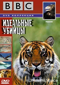 BBC: Идеальные убийцы (2005)