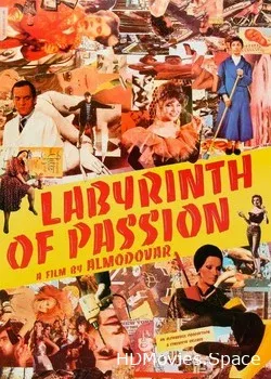 Лабиринт страстей (1982)
