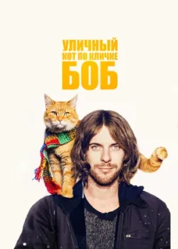 Уличный кот по кличке Боб 2016