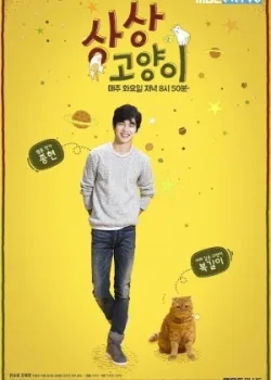 Воображаемая кошка 2015 8 серия