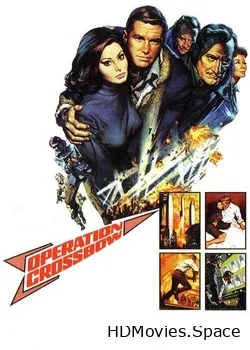 Операция «Арбалет» (1965)