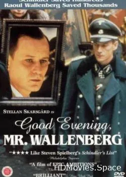Добрый вечер, господин Валленберг (1990)