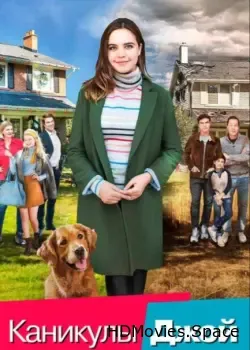 Каникулы Джой (2016)