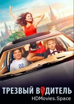 Трезвый водитель (2018)