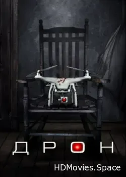 Дрон (2019)
