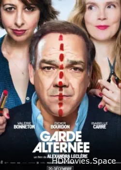 Совместная опека (2017)