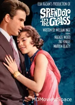 Великолепие в траве (1961)